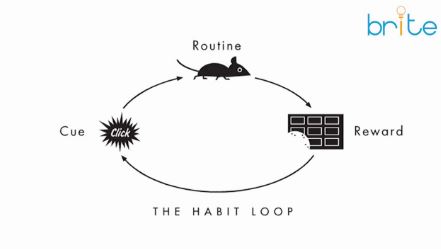 Habit Loop BRITE13