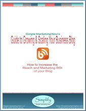 Guide Growing Scaling Business Blog sm