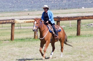 Ann Zollinger: spring cattle work