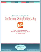 Guide-Growing-Scaling-Business-Blog-1