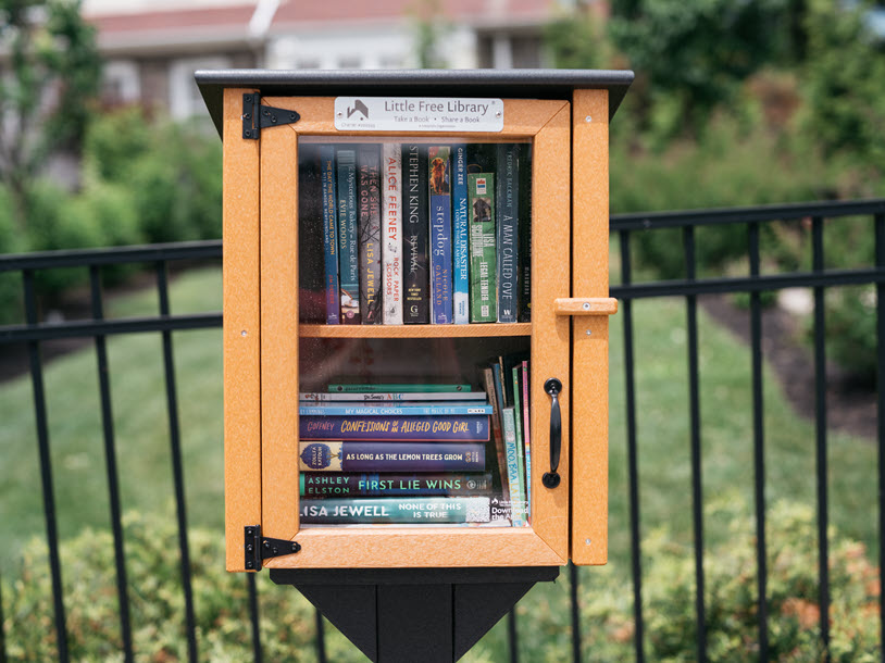 RR-Little-Free-Library_DSF6648