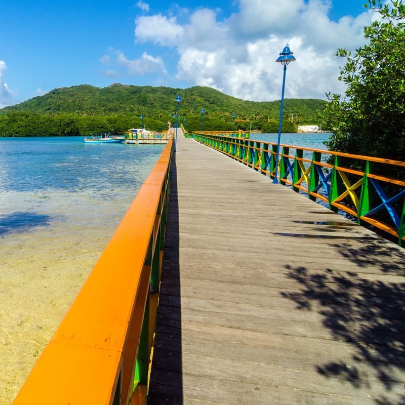 Building Bridges Between Islands